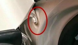 国产网,引领潮流，打造民族互联网新生态