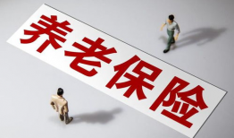 国产做a爰片久久毛片,探索“久久毛片”背后的故事与魅力