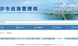 国产做a爰片久久毛片,探索“久久毛片”背后的故事与魅力