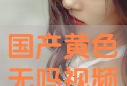 成人在线视频国产,成人在线视频领域的创新与突破